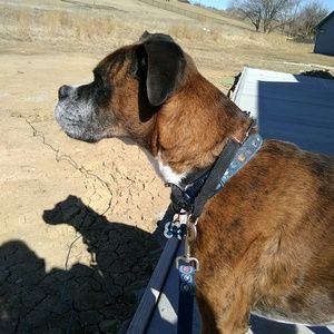 Meet your Posher, Alexa